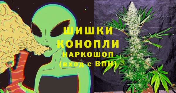 трава Гусиноозёрск
