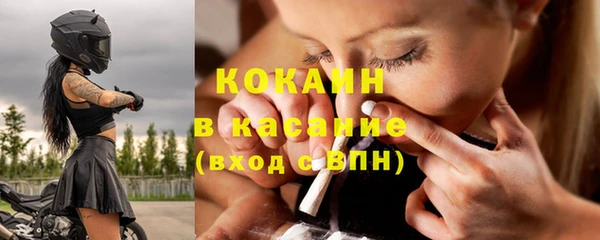 трава Гусиноозёрск
