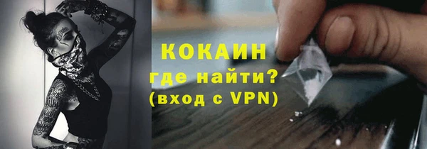 трава Гусиноозёрск