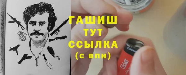 трава Гусиноозёрск