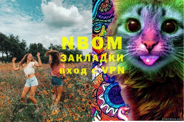 трава Гусиноозёрск