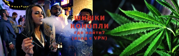 трава Гусиноозёрск